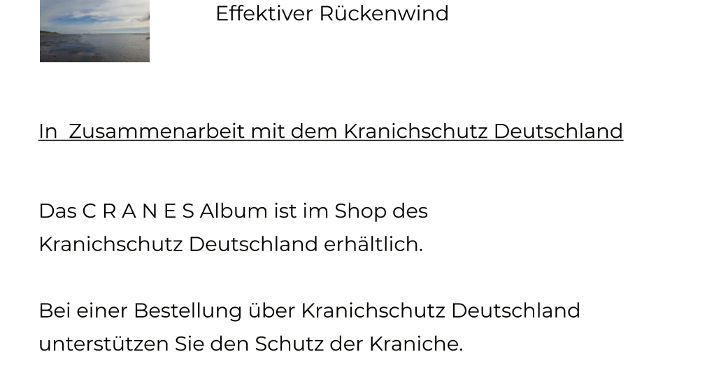 In  Zusammenarbeit mit dem Kranichschutz Deutschland  Das C R A N E S Album ist im Shop des  Kranichschutz Deutschland erhältlich.   Bei einer Bestellung über Kranichschutz Deutschland   unterstützen Sie den Schutz der Kraniche.   Effektiver Rückenwind
